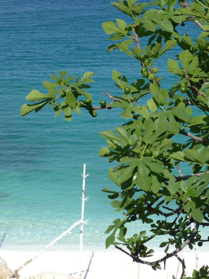 Ambra Βίλα Αστρίδα Εξωτερικό φωτογραφία